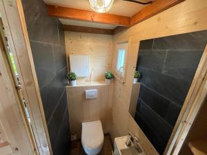 a small bathroom with a toilet and a sink at Haus Wattenloeper in Cuxhaven