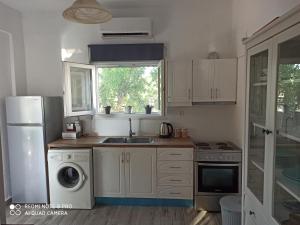 cocina con fregadero y lavavajillas en Cactus Home en Kalamaki