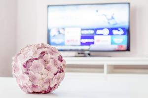a pink object sitting on a table in front of a television at Alva in Sondershausen