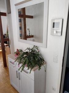 a bathroom with a mirror and flowers on a cabinet at FEWO Hückeswagen "Das Historische" in Hückeswagen