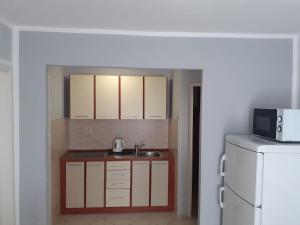 Kuchyňa alebo kuchynka v ubytovaní Apartmani Sidro
