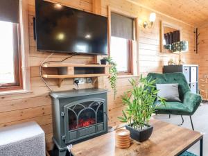 een woonkamer met een open haard en een televisie bij River Dove Lodge in Derby