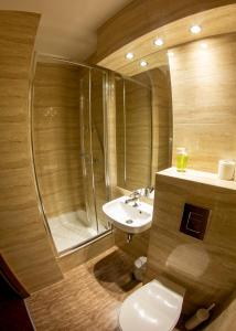a bathroom with a shower and a toilet and a sink at Kamionki in Sosnowiec