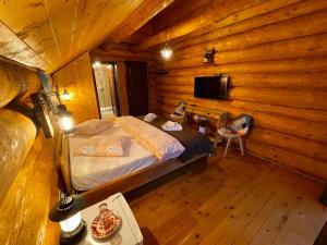 TV a/nebo společenská místnost v ubytování Chalet du Lac