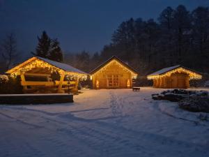 un par de troncos con luces en la nieve en Chalet am See, en Bad Brambach