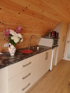 eine Küche mit einem Waschbecken und einer Vase aus Blumen in der Unterkunft Berehaven Pods in Castletownbere