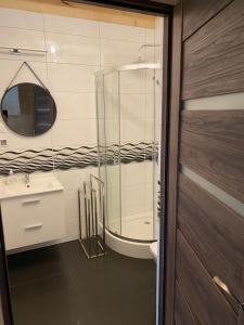 a bathroom with a shower and a sink and a mirror at Jarzębinowy Zakątek in Kopalino +40 photos