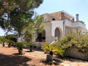 ein weißes Haus mit Pflanzen davor in der Unterkunft Casale Calavita in Santa Cesarea Terme