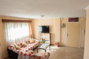 a living room with a couch and a tv at OLIVES Estate APARTMENTS in Preveza