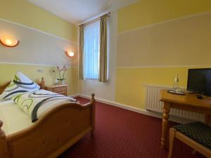 a bedroom with a bed and a desk and a television at Kastanienhof in Müglitztal