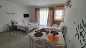 TV a/nebo společenská místnost v ubytování Batkoski Apartments