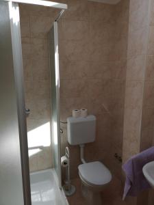 a bathroom with a toilet and a shower and a sink at Marija in Šibenik +5 photos