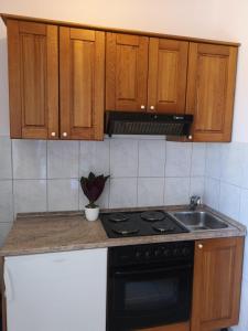 Il comprend une cuisine équipée d'une cuisinière et d'un évier. dans l'établissement Marija, à Šibenik