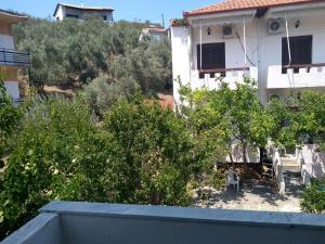 A garden outside Haus Pigadi