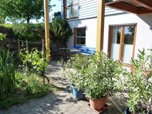 eine Terrasse eines Hauses mit Topfpflanzen in der Unterkunft Ferienwohnung Familie Kunz in Friesenheim
