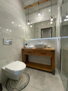 ein Badezimmer mit einem WC, einem Waschbecken und einem Spiegel in der Unterkunft Aparthotel Riva in Zawiercie