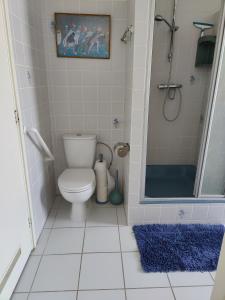 y baño con aseo y ducha. en Cosy appartement Wassenaar, en Wassenaar