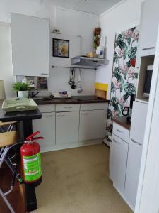 A kitchen or kitchenette at Cosy appartement Wassenaar
