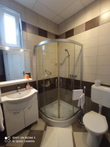a bathroom with a shower and a toilet and a sink at Joker Apartman in Sárvár