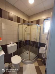 a bathroom with a shower and a toilet at Joker Apartman in Sárvár