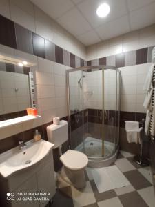 シャールヴァールにあるJoker Apartmanのバスルーム(シャワー、トイレ、シンク付)