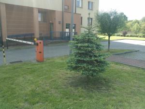 Vonkajšia záhrada v ubytovaní Nature