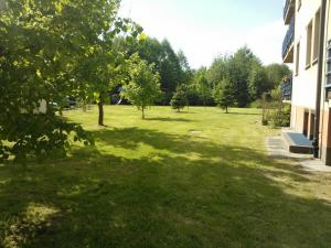 Vonkajšia záhrada v ubytovaní Nature