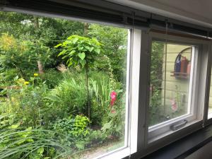 Afbeelding uit fotogalerij van Beemster Tiny House in Zuidoostbeemster