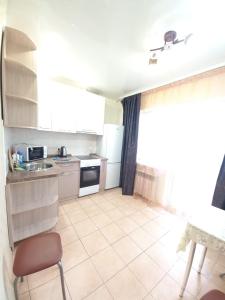 Apartament Predmeste廚房或簡易廚房