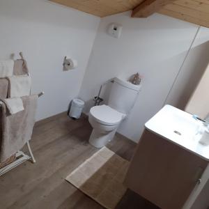 uma casa de banho com um WC e um lavatório em location chambre d hotes clodeguy No 1 em Saint-Sylvestre-sur-Lot