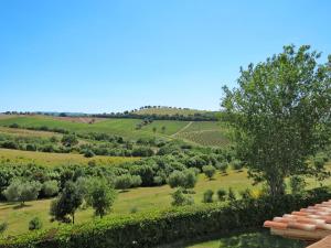 PreselleにあるApartment Ginestra by Interhomeのぶどう畑の景色