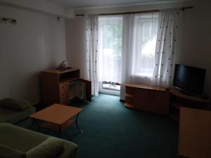 Televisor o centre d'entreteniment de Penzion pod Vlkolíncom