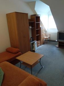 Televisor o centre d'entreteniment de Penzion pod Vlkolíncom