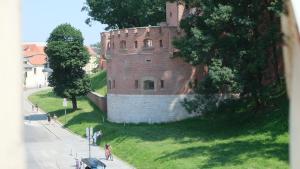 un château sur une colline herbeuse à côté d'une rue dans l'établissement Bailey Apartment, à Cracovie