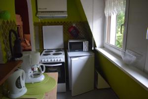 uma pequena cozinha com fogão e micro-ondas em Les Locations de Stéphanie Les Hautes Vosges em Sondernach