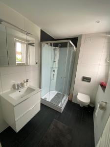 a bathroom with a shower and a sink and a toilet at Henning 2 in Kirchdorf