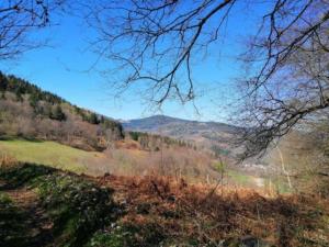 Foto dalla galleria di Les Locations de Stéphanie Les Hautes Vosges a Sondernach