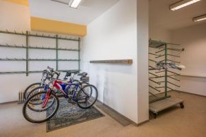 Jízda na kole v ubytování Appartement Christian nebo okolí