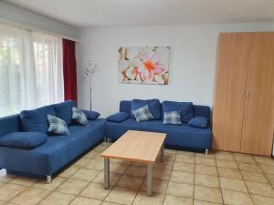 Gallery image of Apart Holidays - Residenza Flora in Locarno