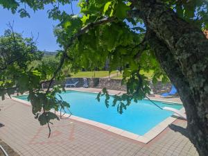una piscina con un árbol en el primer plano en Casa Vacanze Fattoria il Cerro, en Pianelleto