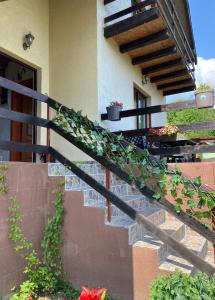 Balkon oz. terasa v nastanitvi Vidikovac BIJELO POLJE