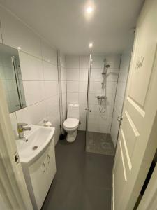 Ένα μπάνιο στο Sukkertoppen Apartment +8 φωτογραφίες
