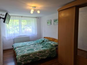 a small bedroom with a bed and a window at Apartament pod wieżą Sky Walk in Świeradów-Zdrój