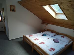 a bedroom with a bed with a skylight at Na Hrázi in Český Krumlov