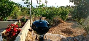 A garden outside Evelina's View