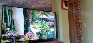 A television and/or entertainment centre at Evelina's View