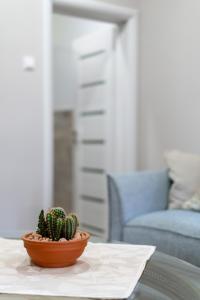 Posezení v ubytování Be my apartman