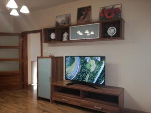 TV a/nebo společenská místnost v ubytování Erdei Szalonka Apartman