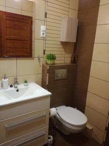 Koupelna v ubytování Erdei Szalonka Apartman