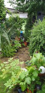 Jardín al aire libre en gemütliche Zimmer im Einfamilienhaus